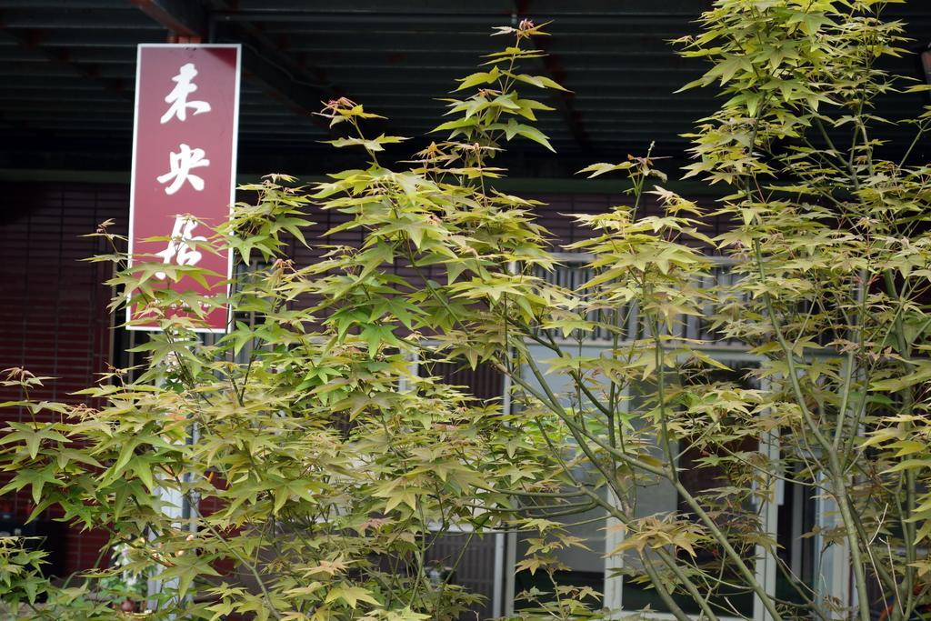 九份ウェイ ヤング ハウスアパートメント エクステリア 写真